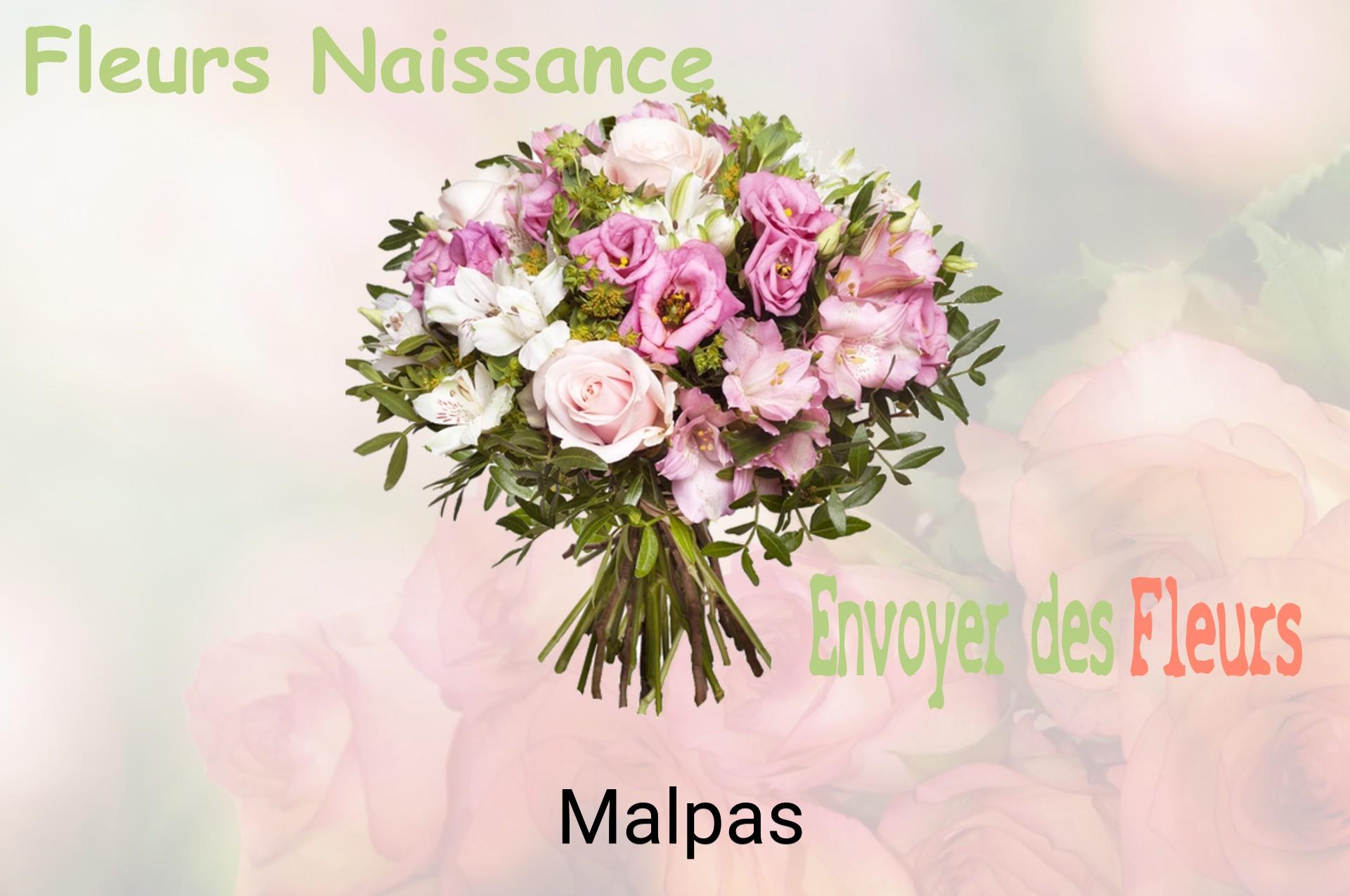 Bouquet de fleurs de naissance livré à Malpas