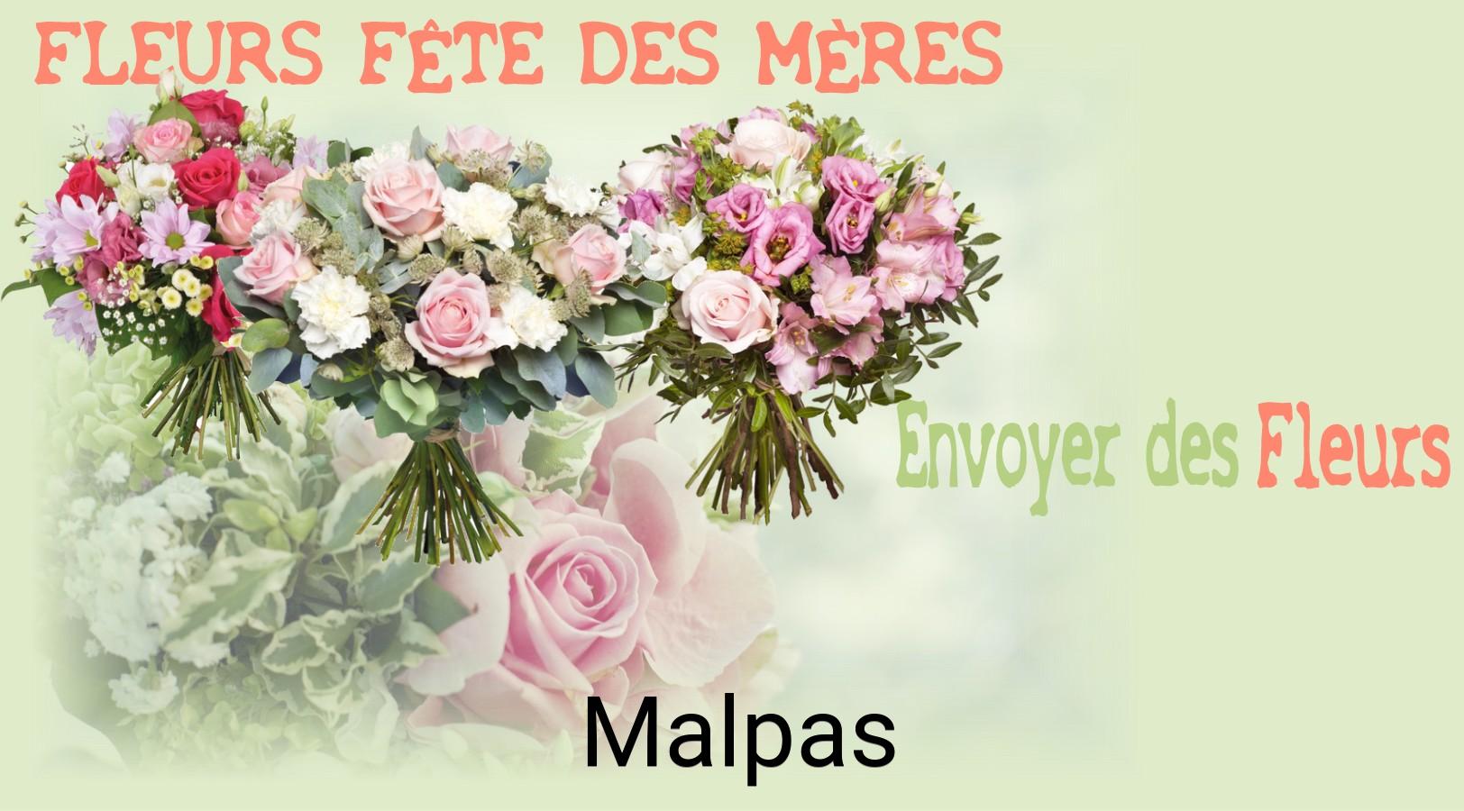 Bouquet de Fête des Mères livré à Malpas